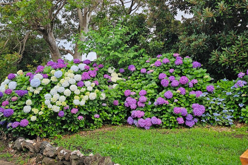 위미리 독채투룸 마당집