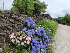 Jeju City Guesthouse 12th image