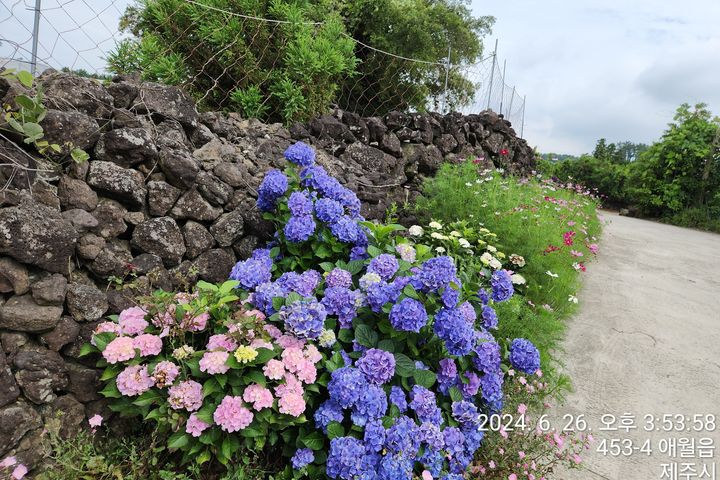 Jeju City Guesthouse 12th image