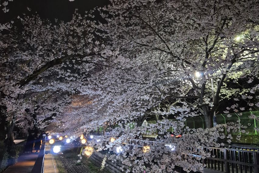 진해 생태공원 조용한방 7번째 이미지
