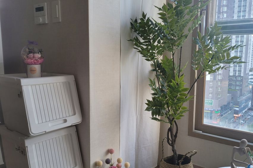 유성온천역#스테이 오늘