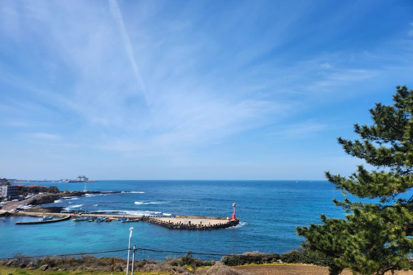 [A31]애월/성수기