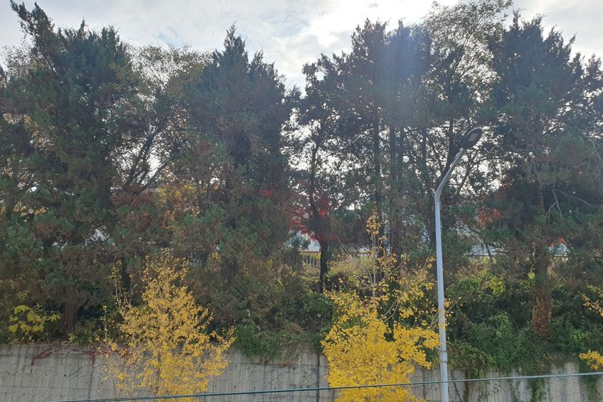 서대전톨게이트부근풀옵션