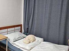 대전유성 충남대 초특가 6번째 이미지