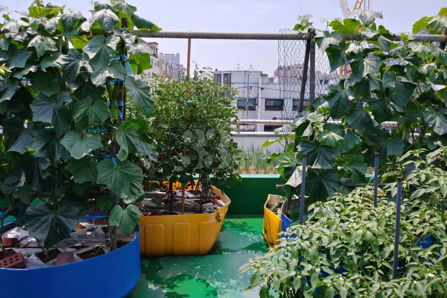 5 minutes from Bucheon Station, clean studio  16th image