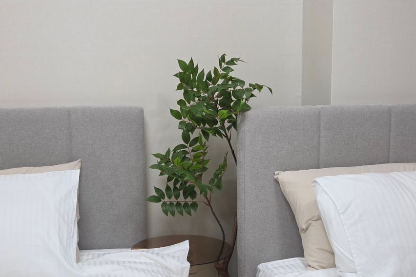 종로 올리브🌿 스테이