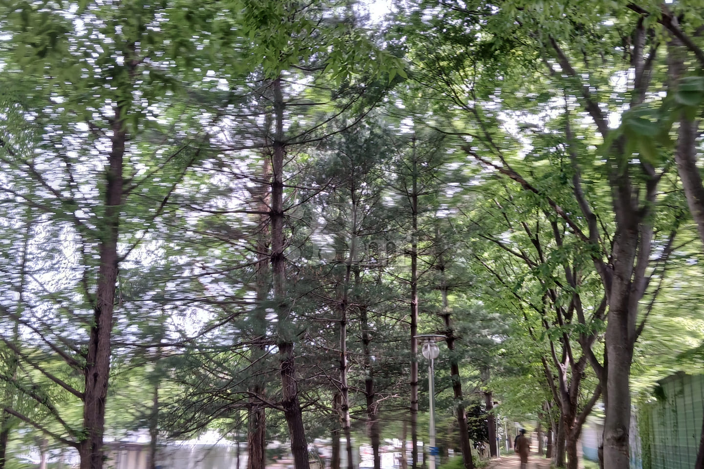 Queen Esther's Room in Gwangju 3th image