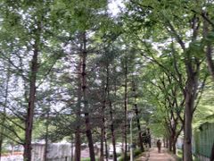 광주 에스더 왕비 방 3번째 이미지