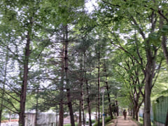 Queen Esther's Room in Gwangju 3th image