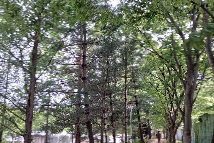 광주 에스더 왕비 방 3번째 이미지
