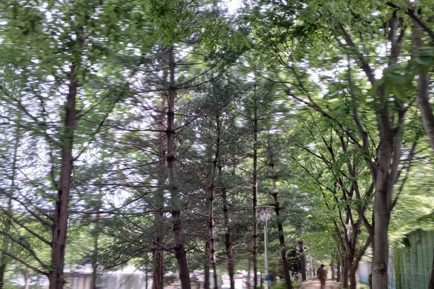 광주 에스더 왕비 방 3번째 이미지