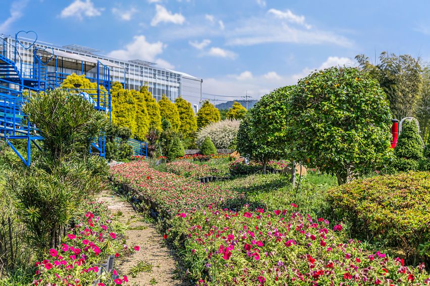 살림정원살이 림스5호