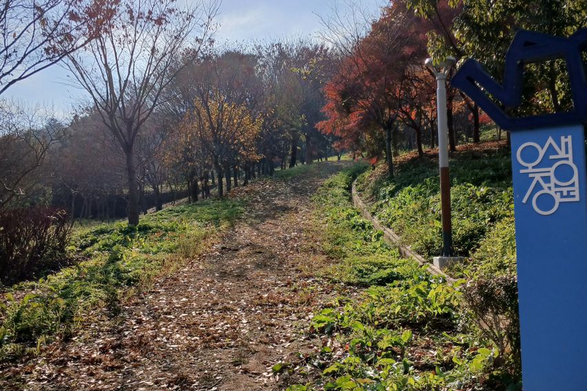월명동 시간여행 주택 19번째 이미지
