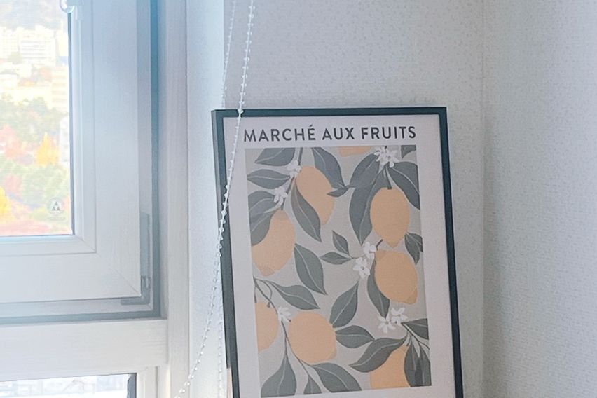 창원 도심1초 심플🍎