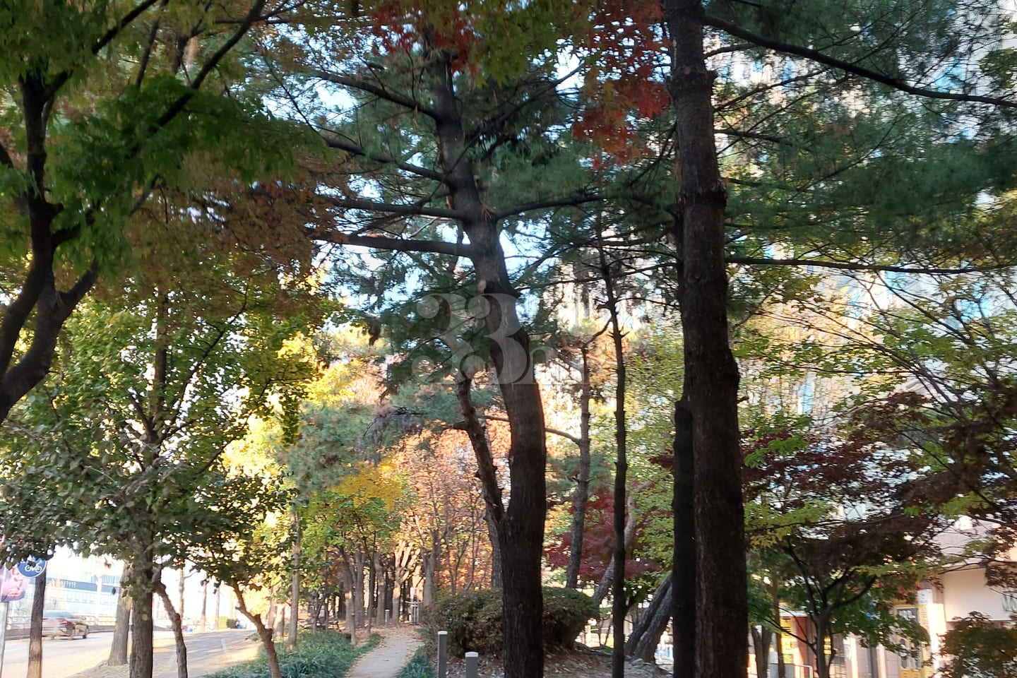 Dunsan-dong Business Trip ♡ City View 17th image