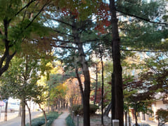 Dunsan-dong Business Trip ♡ City View 17th image