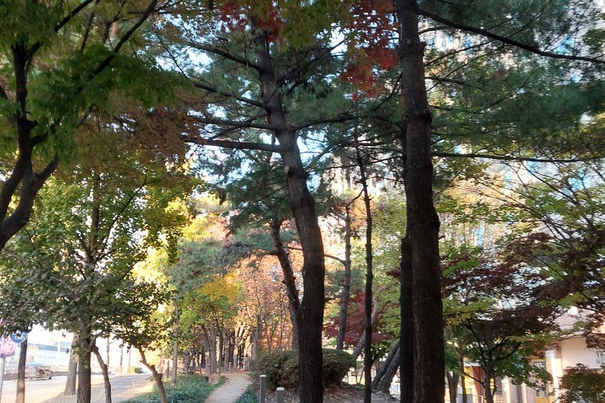 둔산동출장♡여행도시뷰