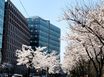 부천옥길 단기임대 공간 19번째 이미지