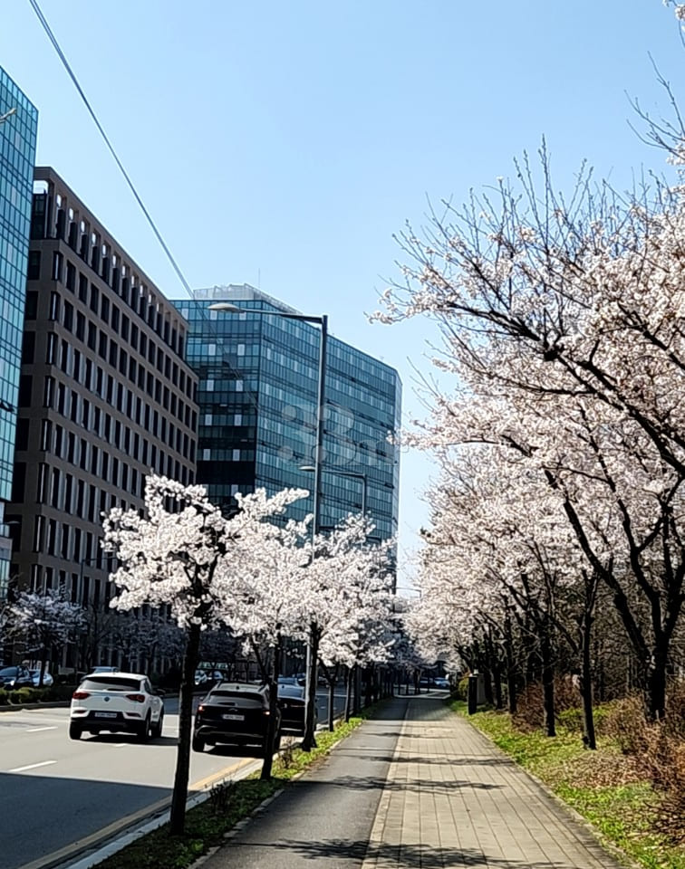 Short-term rental space in Bucheon Okgil 19th image