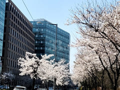 Short-term rental space in Bucheon Okgil 19th image