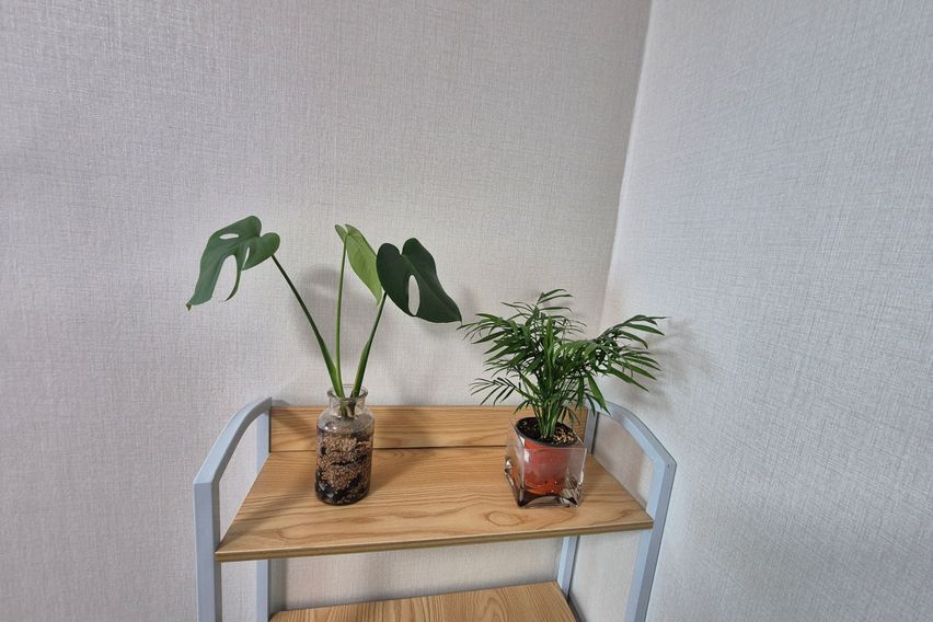 함안군가야읍 실속원룸