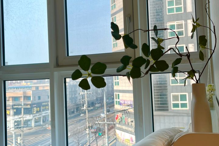 [6월특가]깔끔,포근🕊️ 2번째 이미지