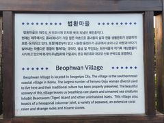 법환 바다가 집안 가득 10번째 이미지