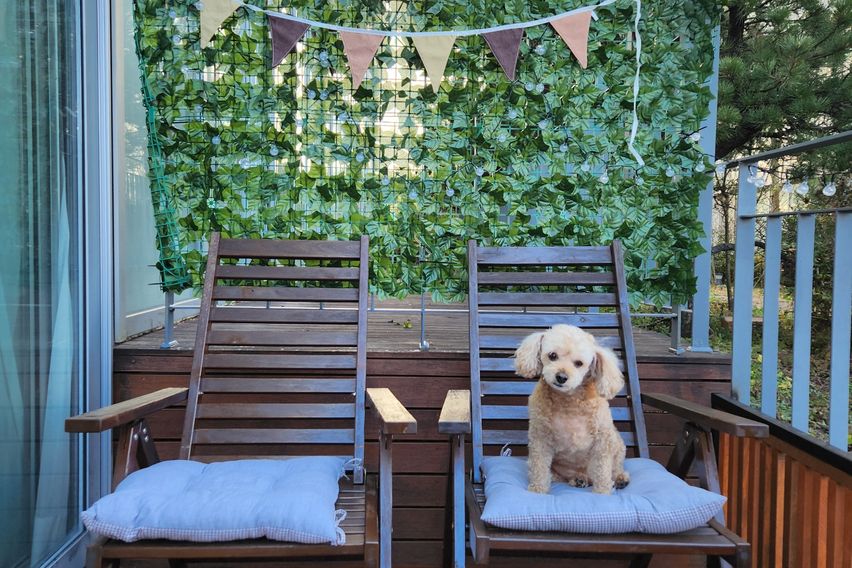 와본제주 호텔식1.5룸