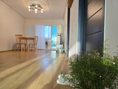Spacious two-room apartment near Jeju Airport 1th image
