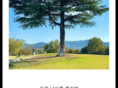 Imdang Station 15-minute two-room apartment B 17th image