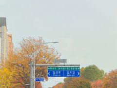 💛백석역/일산병원💚① 15번째 이미지