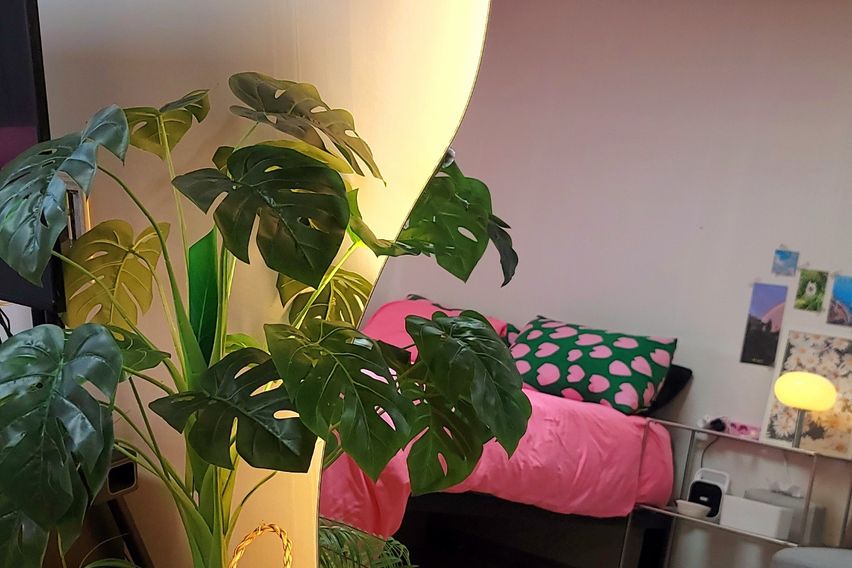 연트럴파크 초근접 홍대