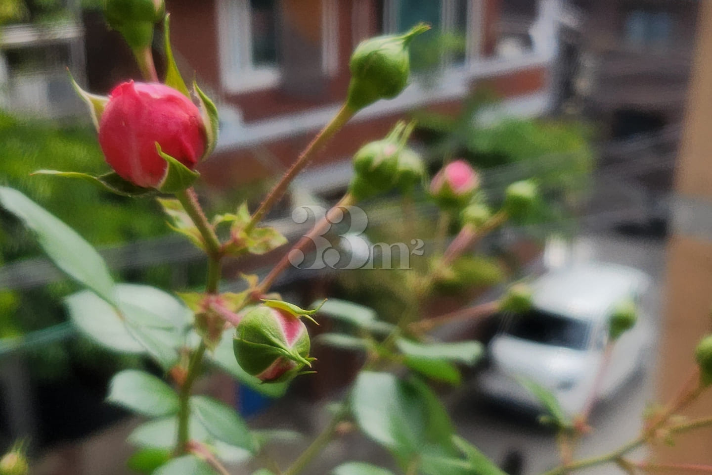 Haebangchon detached house – women only 7th image