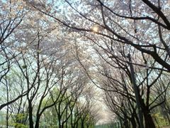  ⭐서울숲30초 뚝섬역 19번째 이미지