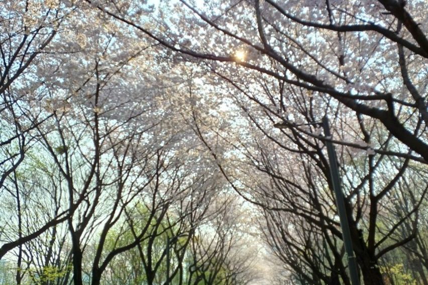  ⭐서울숲30초 뚝섬역 19번째 이미지