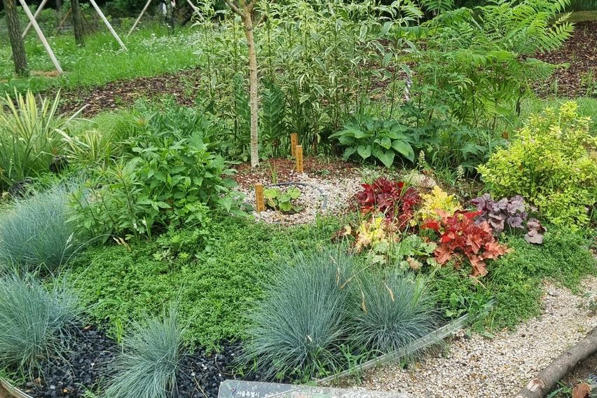 2호선신대방역 도보5분