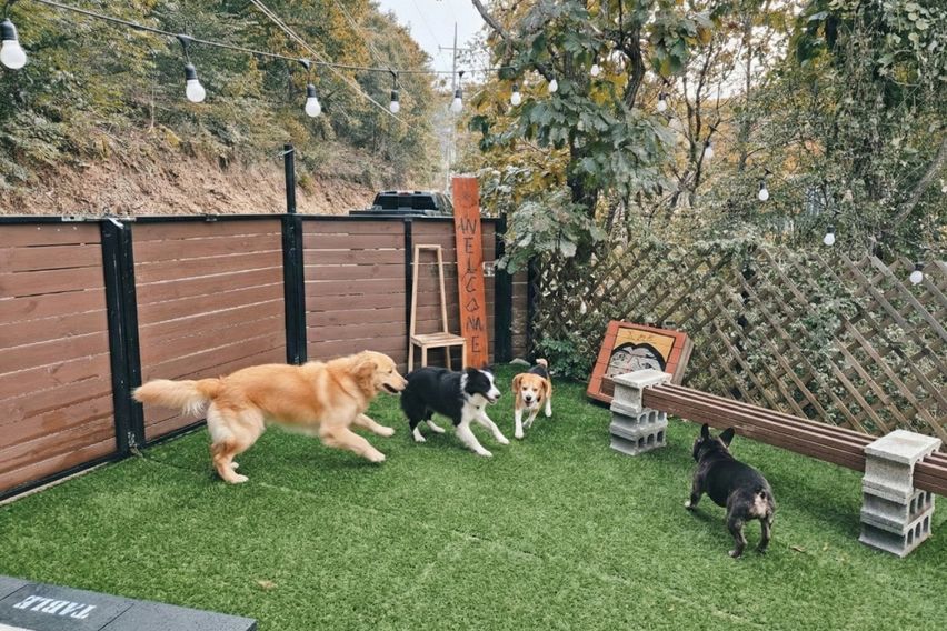 도심속 산장같은 독채 4번째 이미지