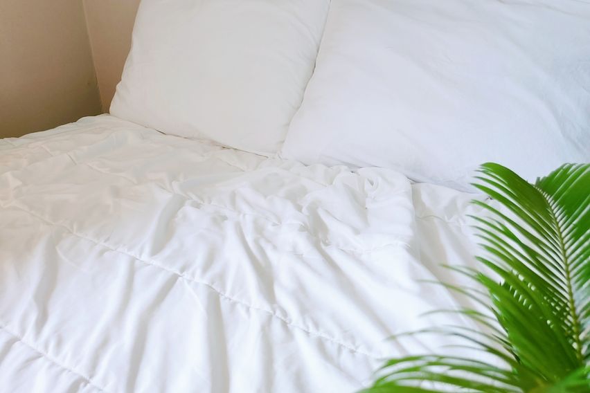 [거제]가성비갑초깨끗B