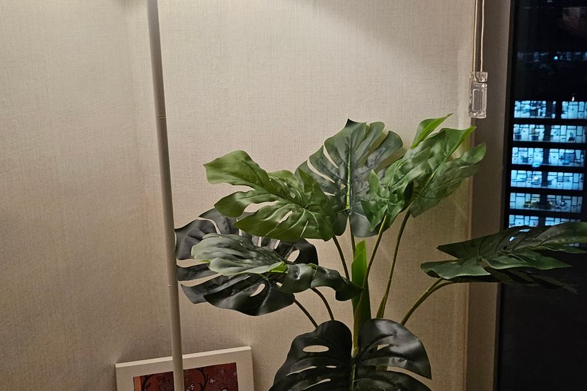 ❤️강남역30초풀옵1