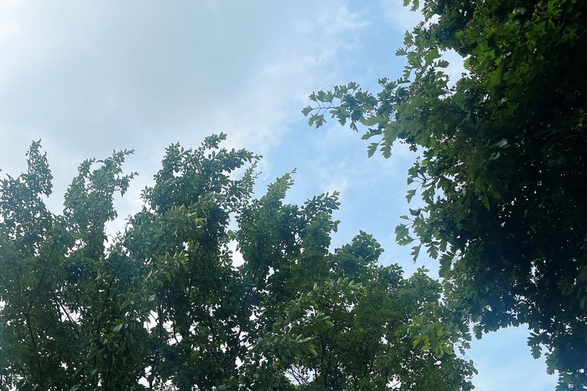 💙홍대 신촌 세브란스