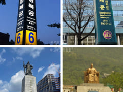 🌈Gwanghwamun Gyeongbokgung Station Fully Fur 19th image