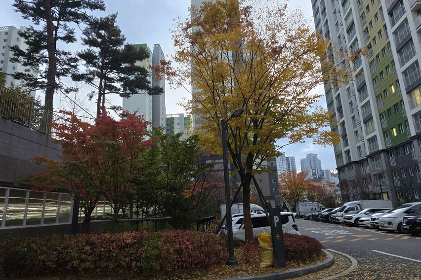 신축2년 대단지 아파트 13번째 이미지