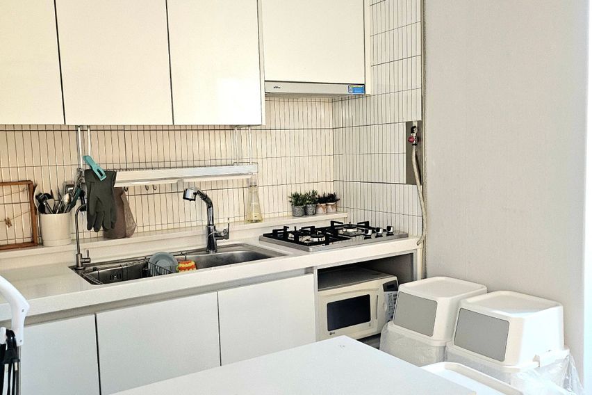 양양 유화 10번째 이미지