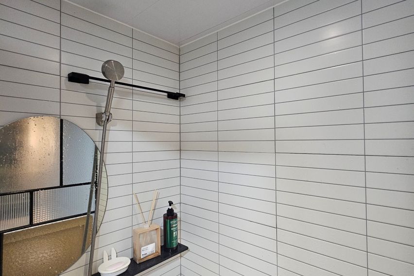 프리미엄 고고스테이 C