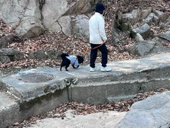 여름특가💙🏡빛의숲@정 17번째 이미지