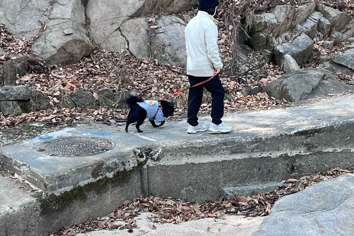 여름특가💙🏡빛의숲@정 17번째 이미지