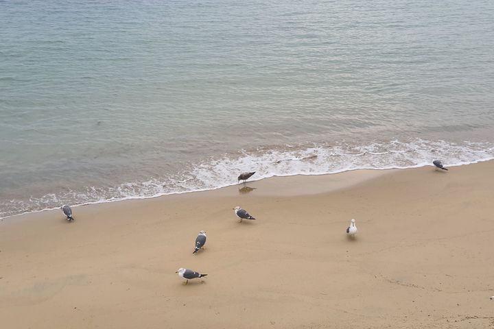 해운대 1분 투룸_1 9번째 이미지