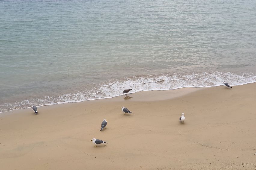 해운대 1분 투룸_1