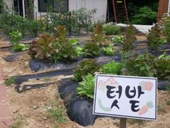 강릉안골황토빌리지(4) 3번째 이미지