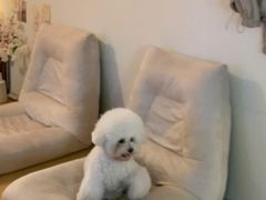 금호동 옥캉스 2 4번째 이미지